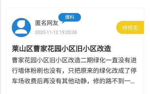 谁有视频爆料平台,视频爆料平台背后的神秘力量